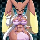 Salón de Miss Lopunny Discord Server Banner