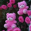 Sugar mommy Discord Server Banner