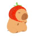 CapyCash & Co. Discord Server Banner