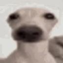 Donuts Discord Server Banner