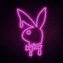 Playboy Bunny Discord Server Banner
