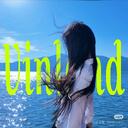 Vinland Discord Server Banner