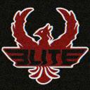 ELITE Discord Server Banner