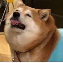 CTKHUB Discord Server Banner