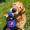 Pepsi's Vending Machine Discord Server Banner