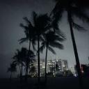 Exotic🌴 Discord Server Banner