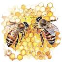 Honeycomb Hangout Discord Server Banner