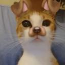 one pound fish Discord Server Banner