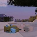 Survival+ 1.21.11 z K i S Discord Server Banner