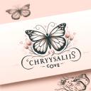 Flutter Haven | Social Discord Server Banner