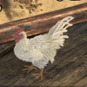 The Shadow Garden Discord Server Banner