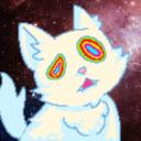 Mexican Cats Discord Server Banner