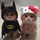 Robert Settings Discord Server Banner