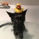 𝕯𝖊𝖆𝖙𝖍 MarketPlace Discord Server Banner