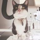 DeF’s server Discord Server Banner