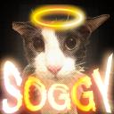 Soggy cat / the cat Discord Server Banner