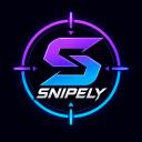 Snipely FH6 Auction Sniper Discord Server Banner