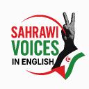 Sahrawi Voice Explained Discord Server Banner