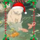 Jolly cozy guild Discord Server Banner