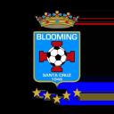 Blooming Discord Server Banner
