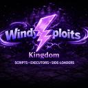 WindyExploits Kingdom Discord Server Banner