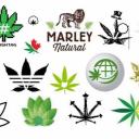 psychedelics shop Discord Server Banner