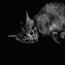 /kxe Discord Server Banner