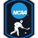 D1 College Hockey Discord Server Banner