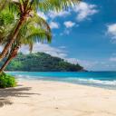 Asian Nudist Network Discord Server Banner