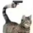 Servidor de Freshmet Icon