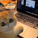 QuynhNguyen Community Discord Server Banner