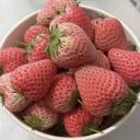 /Starbewwies Discord Server Banner