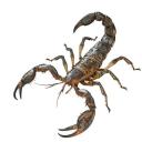 L3agrab Discord Server Banner