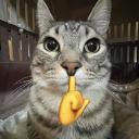 Winterfell Discord Server Banner