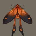 Paradoxia haven Discord Server Banner