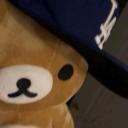 bears Discord Server Banner