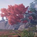 Co-op Corner Discord Server Banner