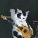 Gatitos Returns Discord Server Banner