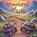 Adventures of Life Discord Server Banner