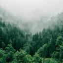 xeno Discord Server Banner