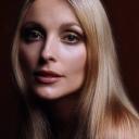 Sharon Tate fans Discord Server Banner