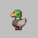 DzikieKaczki Discord Server Banner