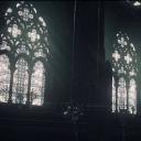 Gilded Teeth Sanctuary Discord Server Banner