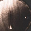 Phantasy star: apocalypse Discord Server Banner