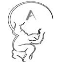 Atlas Discord Server Banner