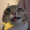 RETARD LAND Discord Server Banner