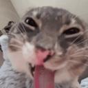 Failed Abortions Discord Server Banner