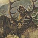 The Lodge Discord Server Banner