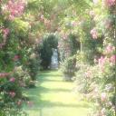 ~| the garden |~ Discord Server Banner