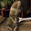 Garfheads Discord Server Banner